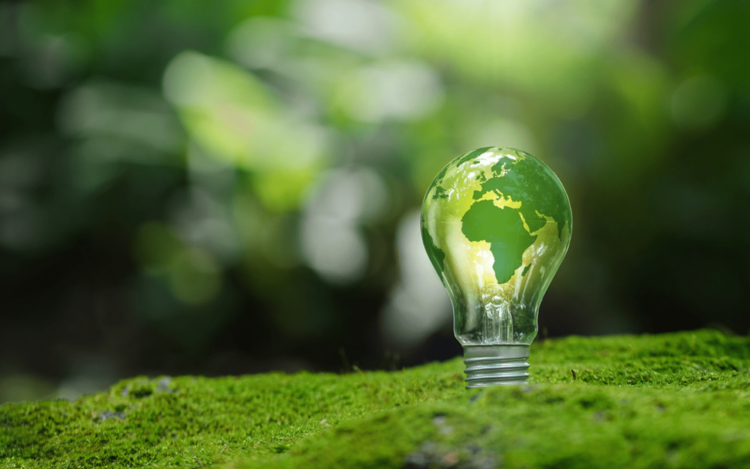 Building a greener NHS – How are Shelford Trusts helping?